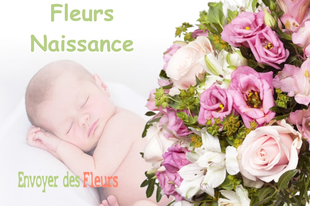 lIVRAISON FLEURS NAISSANCE à CHAUVENCY-LE-CHATEAU